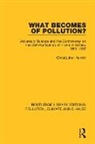 Christopher Hamlin - What Becomes of Pollution?