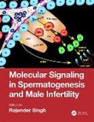 Rajender Singh, Rajender Singh, Singh Rajender - Molecular Signaling in Spermatogenesis and Male Infertility