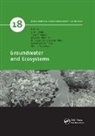 Luis Stigter Ribeiro, Antonio Chambel, Chambel Antonio, M. Teresa Condesso de Melo, Albino Medeiros, Medeiros Albino... - Groundwater and Ecosystems