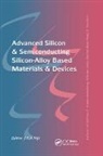 Jo Nijs, Jo Nijs - Advanced Silicon & Semiconducting Silicon Alloy Based Materials &