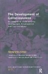 Giampaolo Sasso, Sasso Giampaolo - Development of Consciousness