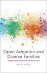 Abbie E. Goldberg, Abbie E. (Associate Professor Goldberg, Goldberg Abbie E. - Open Adoption and Diverse Families