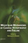 Richard A Walsh, Richard A. Walsh - Molecular Mechanisms of Cardiac Hypertrophy and Failure