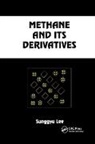 Sunggyu Lee, Lee Sunggyu - Methane and Its Derivatives