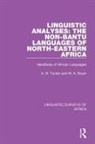 M A Bryan, M. A. Bryan, M. A. Tucker Bryan, A N Tucker, A. N. Tucker - Linguistic Analyses: The Non-Bantu Languages of North-Eastern Africa