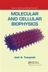 Jack A Tuszynski, Jack A. Tuszynski - Molecular and Cellular Biophysics