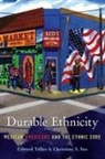 Christina A. Sue, Sue Christina A., Edward Telles, Edward (Professor of Sociology Telles - Durable Ethnicity