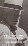 Sonu Shamdasani - Jung Stripped Bare