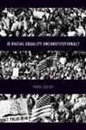 Mark Golub, Mark (Associate Professor of Politics Golub - Is Racial Equality Unconstitutional?
