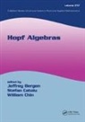 Jeffrey Catoiu Bergen, Jeffrey Bergen, Stefan Catoiu, William Chin - Hopf Algebras