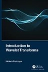 Nirdosh Bhatnagar - Introduction to Wavelet Transforms