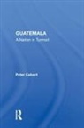 Peter Calvert - Guatemala