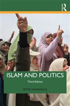 Peter Mandaville, Peter (George Mason University Mandaville, Mandaville Peter - Islam and Politics (3rd Edition)