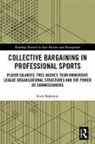 Scott Bukstein, Bukstein Scott - Collective Bargaining in Professional Sports