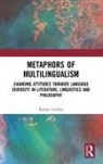 Rainer Guldin, Rainer (Universita Della Svizzera Italiana Guldin, Guldin Rainer - Metaphors of Multilingualism