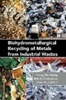 Mital Chakankar, Hong Hocheng, Hong Chakankar Hocheng, Hocheng Hong, Hocheng Hong, Umesh Jadhav - Biohydrometallurgical Recycling of Metals From Industrial Wastes