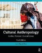 Jack David Eller, Jack David (Community College of Denver Eller - Cultural Anthropology