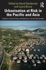 David (Inaugural Judith Neilson Chair i Sanderson, David Bruce Sanderson, Laura Bruce, Bruce Laura, David Sanderson, Sanderson David - Urbanisation At Risk in the Pacific and Asia