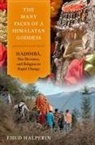 Ehud Halperin, Ehud (Associate Professor Halperin - Many Faces of a Himalayan Goddess