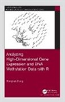 Hongmei Zhang, Hongmei (University of Memphis Zhang, Zhang Hongmei - Analyzing High Dimensional Gene Expression and Dna Methylation Data