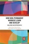 Helen Bound, Helen (Centre for Work and Learning At the Bound, Karen Evans, Sahara Sadik - How Non-Permanent Workers Learn and Develop