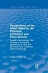 Amitava Mukherjee, Mukherjee Amitava - Perspectives of the Silent Majority