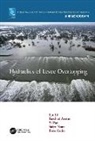 Farshad Amini, Bora Cetin, Lin Li, Lin Amini Li, Yi Pan, Pan Yi... - Hydraulics of Levee Overtopping