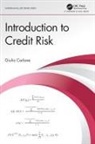 Giulio Carlone - Introduction to Credit Risk