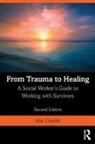 Ann Goelitz, Ann (Northern Westchester Hospital Goelitz, Goelitz Ann - From Trauma to Healing