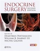 Demetrius (Icahn School of Medicine Pertsemlidis, Demetrius Inabnet III Pertsemlidis, Michel Gagner, Gagner Michel, William B. Inabnet III, Demetrius Pertsemlidis... - Endocrine Surgery