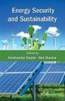 Amritanshu Sharma Shukla, Sharma Atul, Shukla Amritanshu - Energy Security and Sustainability