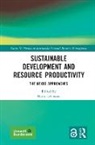 Harry Lehmann, Harry Lehmann, Lehmann Harry - Sustainable Development and Resource Productivity