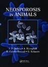 R. Calero-Bernal, Calero-Bernal R., J.P. Dubey, J.p. (Usda Ars Dubey, J.p. Hemphill Dubey, A. Hemphill... - Neosporosis in Animals