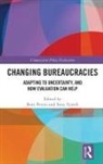 Burt Tyrrell Perrin, Burt Perrin, Perrin Burt, Tony Tyrrell - Changing Bureaucracies