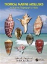 David P. Berschauer, Edward J. Petuch, Edward J. (Florida Atlantic Univ.) Berscha Petuch, Petuch Edward J. - Tropical Marine Mollusks