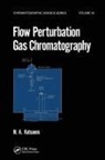 A. Katsanos - Flow Perturbation Gas Chromatography