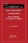 P.L. Sachdev - Self-Similarity and Beyond