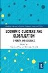 Francisco Urzelai Puig, Francisco Puig, Puig Francisco, Berrbizne Urzelai - Economic Clusters and Globalization