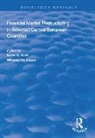 Karen S. Wehmeyer Vorst, Karen S. Vorst, Willadee Wehmeyer - Financial Market Restructuring in Selected Central European Countries
