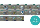Bradbury Adrian, Hawes Alison, McFarlane Karra, Miles Liz, Gill Bradbury Munton, Munton Gill... - Read Write Inc. Phonics: Grey Set 7 More Storybooks (Mixed Pack of 13)