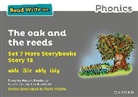 Adrian Bradbury, Bradbury Adrian, Tim Archbold, Archbold Tim - Read Write Inc. Phonics: The Oak and the Reeds Grey Set 7a Storybook