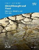 Huan (University of Maryland) Lettenmaier Wu, Dennis P. Lettenmaier, Dennis P Lettenmaier, Qiuhong Tang, Qiuhong Tang et al, Tang Qiuhong... - Global Drought and Flood