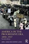 Lewis L. Gould, Lewis L. Shah Gould, Courtney Q. Shah - America in the Progressive Era, 18901917