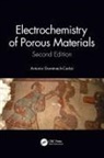 Antonio Domenech Carbo, Antonio Doménech Carbó - Electrochemistry of Porous Materials