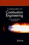 Achintya Mukhopadhyay, Achintya (Indian Institute of Techno Mukhopadhyay, Swarnendu Sen - Fundamentals of Combustion Engineering