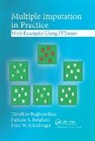 Patricia A. Berglund, Berglund Patricia A., Trivellore Raghunathan, Trivellore (University of Michigan Raghunathan, Raghunathan Trivellore, Peter W. Solenberger - Multiple Imputation in Practice