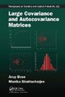 Monika Bhattacharjee, Arup Bose, Arup (Indian Statistical Institute Bose - Large Covariance and Autocovariance Matrices