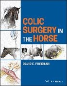 David E Freeman, David E. Freeman, David E. (University of Florida Freeman - Colic Surgery in the Horse
