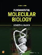 Lizabeth A Allison, Lizabeth A. Allison, Lizabeth A. (College of William and Mary Allison, Allison Lizabeth A. - Fundamental Molecular Biology
