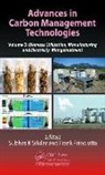 Subhas K. Princiotta Sikdar, Frank Princiotta, Princiotta Frank, Subhas K Sikdar, Subhas K. Sikdar, Sikdar Subhas K. - Advances in Carbon Management Technologies